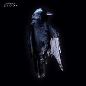 Friebe, Rico – Shook