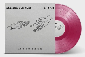 DJ Cam – Westside Gun Soul