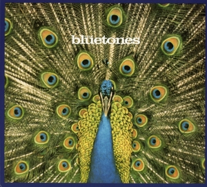Bluetones – Expecting To Fly
