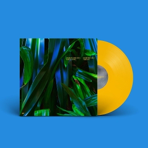 Chkheidze, Anushka & Robert Lippok – Uncontrollable Thoughts