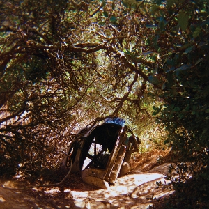 Segall, Ty – Possession