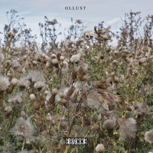 Broads & Milly Hirst – Ollust