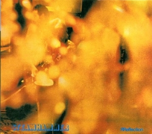 Steamhammer – Reflection