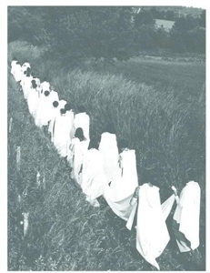 Radigue, Eliane – Opus 17