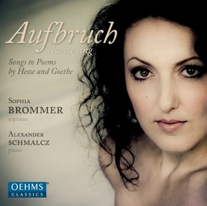 Brommer, S. – Aufbruch