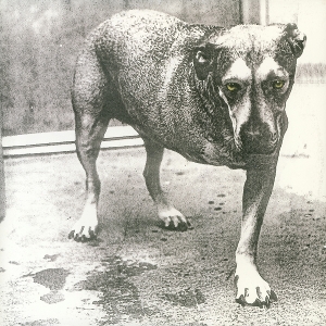 Alice In Chains – Alice In Chains