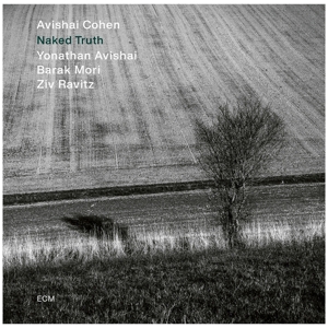 Cohen, Avishai – Naked Truth