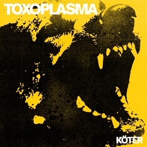 Toxoplasma – Koter