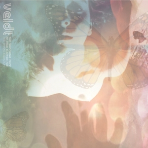 Veldt – Shocking Fuzz of Your Electric Fur: the Drake Equation