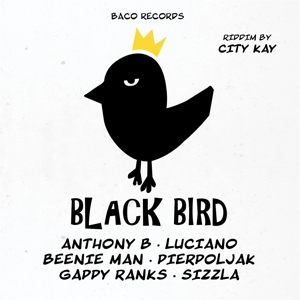 V/A – Black Bird Riddim By City Kay