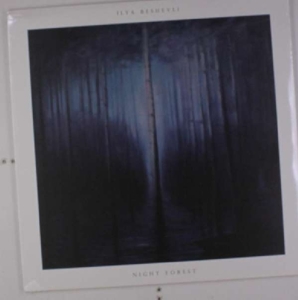Beshevli, Ilya – Night Forest