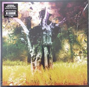 Animal Collective – Meeting of the Waters