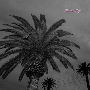 Actual Wolf – Faded Days