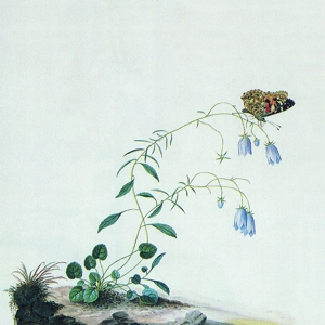 Botanist – I: the Suicide Tree/Ii: a Ro