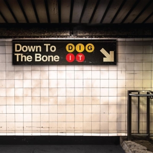 Down To the Bone – Dig It