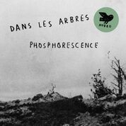 Dans Les Arbres – Phosphorensence