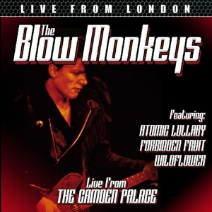 Blow Monkeys – Live From London