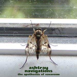 Ashtray Navigations – The Apotheosis of Vavavoom (Green)