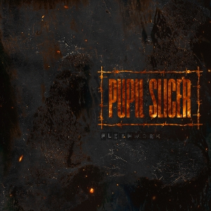 Pupil Slicer – Fleshwork