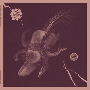 Turner, Aaron & Jon Mueller – Now That You've Found It