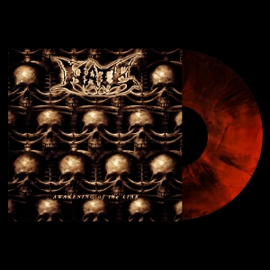 Hate – Awakening of the Liar