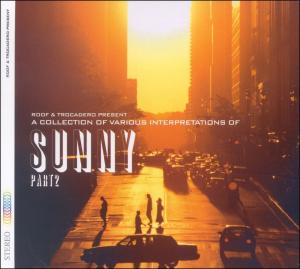 V/A – Collection of Interpretations of 'Sunny' Part 2, A