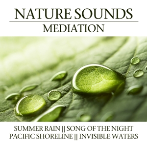 V/A – Nature Sounds Meditation