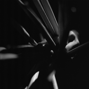 Belfi, Andrea – Strata