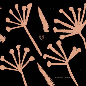 Unchained – Gabbeh