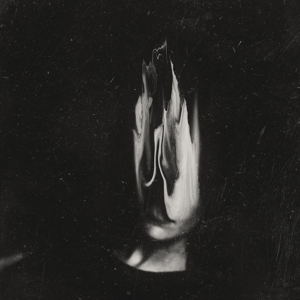 Haunted, the – Dayburner