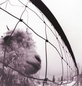 Pearl Jam – Vs. Vinyl Edition (Remastered)