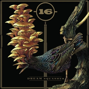 16 – Dream Squasher