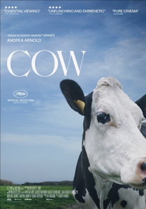 Movie – Cow