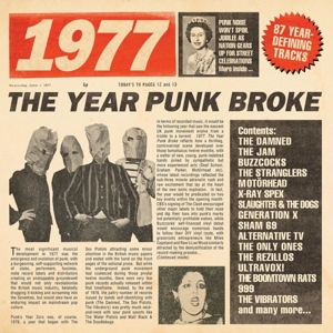 V/A – 1977 - the Year Punk Broke