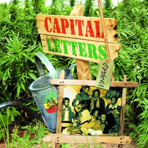 Capital Letters – Vinyard