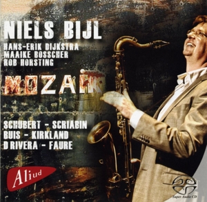 Bijl, Niels – Mozaiek