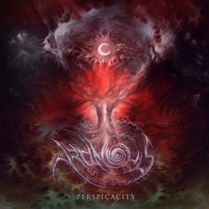 Aronious – Perspicacity