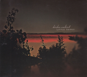 Darshan Ambient – Little Things