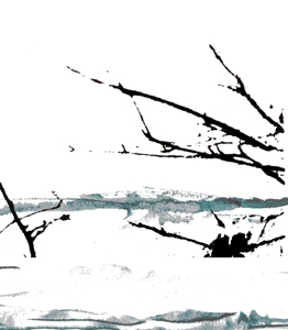 Tenhi – Vare