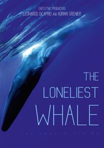 Documentary – Loneliest Whale - the Search For 52