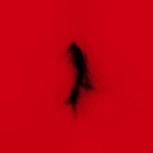 Dingwei – Untied