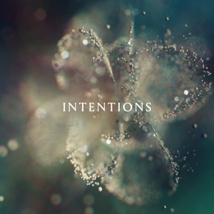 Anna – Intentions