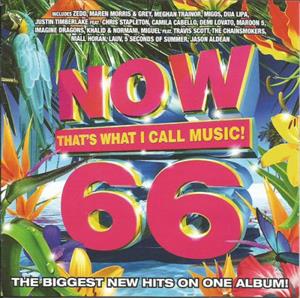V/A – Now That's What I Call Music! 66