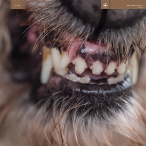 Blanck Mass – World Eater