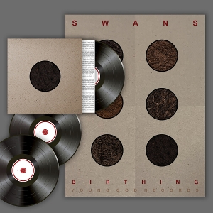 Swans – Birthing