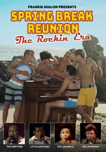 V/A – Spring Break Reunion: the Rockin' Era
