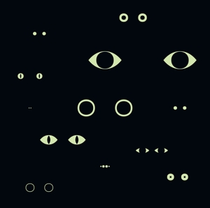 Bjorkoe, Christina – Animal Universe