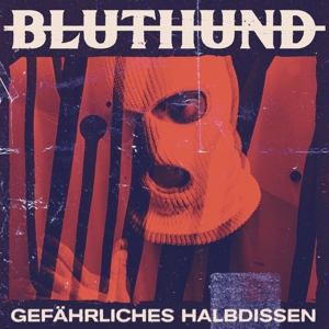 Bluthund – Gefahrliches Halbdissen