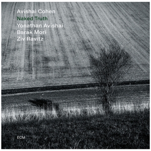 Cohen, Avishai – Naked Truth