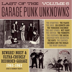 V/A – Last of the Garage Punk Unknowns 6